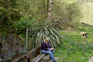 New Garden Area